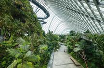 Garden by the Bay with two domes (Shared transfer)