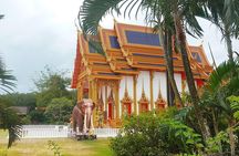 Local Temples and Traditional Market
