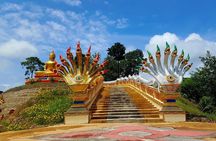 Local Temples and Traditional Market