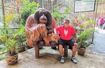Private Tour : Orang Utan Island & Perak Cave Temple from KL