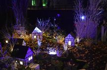 Experience the magic of Christmas in Riquewihr and Eguisheim!
