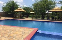 3 Days Safari - Mikumi National Park