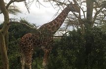 2 Days Tsavo East and West