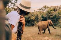 Udawalawe National Park Safari with Private Driver-Jeep and Enter ticket 