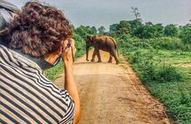 Sri Lanka tour itinerary . 6N/7D with driver, vehicle and H/B accommodations