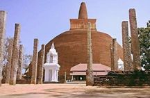 Sri Lanka tour itinerary . 6N/7D with driver, vehicle and H/B accommodations