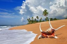 Sri Lanka tour itinerary . 6N/7D with driver, vehicle and H/B accommodations