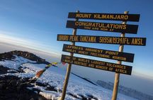 Kilimanjaro Climb - 7 Days Machame Route