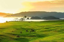 Lombok Private Sasak Tour (Culture & Beaches)