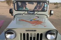 Overnight Camel Safari (remote And Isolated)
