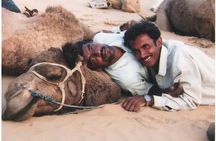 Overnight Camel Safari (remote And Isolated)