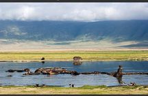 4 Day Joined Group Safari Ngorongoro, Manyara,Tarangire and Arusha National Park