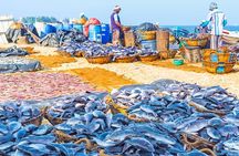 Fishing Village & Mangrove Tour Experince at Negombo (Starting from Colombo)