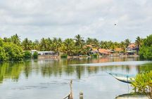 Fishing Village & Mangrove Tour Experince at Negombo (Starting from Colombo)