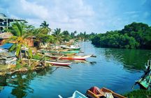 Fishing Village & Mangrove Tour Experince at Negombo (Starting from Colombo)