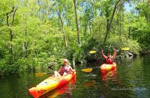 Self Guided Family Friendly Kayak Rental Experience Old Florida 