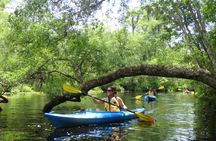 Self Guided Family Friendly Kayak Rental Experience Old Florida 