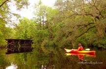 Self Guided Family Friendly Kayak Rental Experience Old Florida 