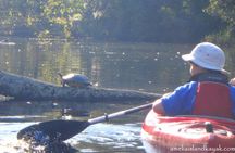Self Guided Family Friendly Kayak Rental Experience Old Florida 
