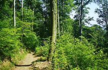Perceive Zagreb Like a Local - Medvednica Nature Park Hiking