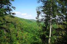 Perceive Zagreb Like a Local - Medvednica Nature Park Hiking