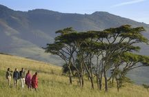 3 Days Joined Group Safari Ngorongoro,Lake Manyara and Tarangire National Park