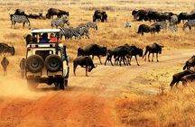 5 Day Private Camping Serengeti,Ngorongoro, lake Manyara,Tarangire National Park