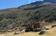 Sacred Valley of Incas (Day Trip)