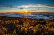 Private Haleakala Summit & Stroll from Kahului
