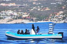 Zodiac Whale Watching Adventure - Incl FREE photos & Whale Sightings Guarantee