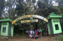 Rinjani Trekking 1 day Trek To the rim via senaru 2,642m 