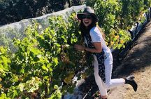 Valleys of Vino Full Day Tour