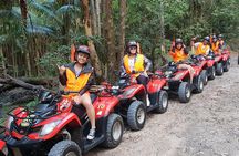 Noosa Quad Bike Tours