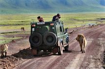 2 Day Private Safari in Lake Manyara and Ngorongoro Crater National Park