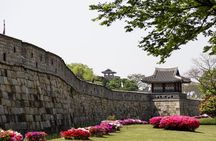 Korean Folk Village & Suwon Hwaseong Fortress Private Tour