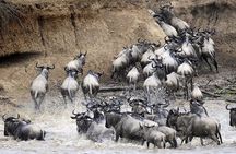 5 Days Mid-range Safari Serengeti, Ngorongoro, lake Manyara and Tarangire