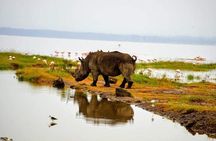 Day trip to Lake Nakuru National Park