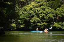 Kayaking in Anbo River