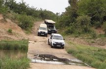 6 Days Private Camping Safari Serengeti, Ngorongoro, Lake Manyara and Tarangire 