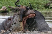 3 Day Private Safari in Serengeti and Ngorongoro National Park