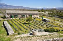 Etnoland MULTIMEDIA EXPERIENCE Skip-the-line