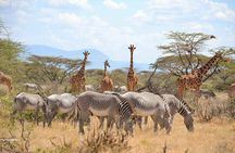 Private 3 Days Samburu National Park Safari All Inclusive