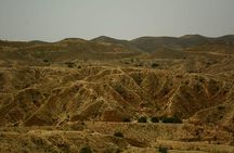 Ksar Ghilane 1 day: The hot spring and the homestay