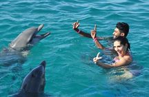 Catamaran Cruise to Ile Aux Bénitiers: Dolphin watch, Crystal Rock & Transfer