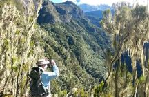 Mt Kilimanjaro Day Hike