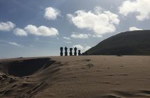 T5-GIANT STATUES (non-cruise visitors)
