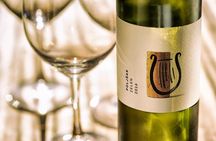 Wine Tasting with Cold Cuts