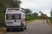 Kruger Park 1-day Safari from Maputo (Open-backed Safari Vehicle)
