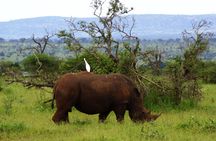 Kruger Park 2-day Safari from Maputo (Open-backed Safari Vehicle)