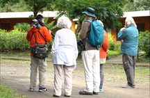 Monteverde Cloud Forest Tour with a Certified Tour Guide